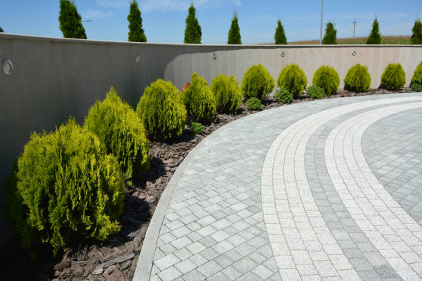 Reasons to Select Us for Your Driveway Paving Requirements in Pisgah, AL